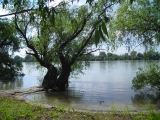 РЫБОЛОВНЫЕ ТУРЫ
