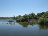 РЫБОЛОВНЫЕ ТУРЫ