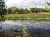 РЫБОЛОВНЫЕ ТУРЫ
