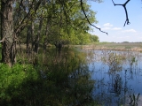 РЫБОЛОВНЫЕ ТУРЫ