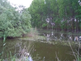 РЫБОЛОВНЫЕ ТУРЫ